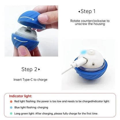 WoofPlay™ BounceBuddy
