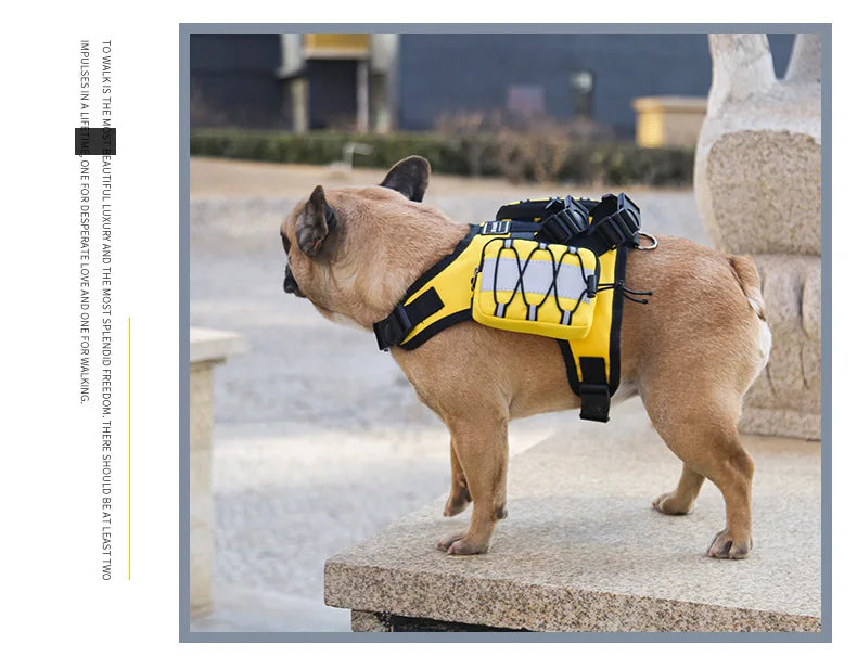 Pet supplies Dog Backpack for Hiking Camping Travel Waking Saddle Bag for Small Medium Dog Waterproof Tactics Pack