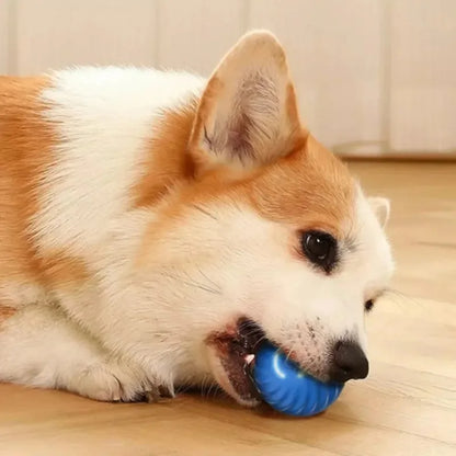 WoofPlay™ BounceBuddy