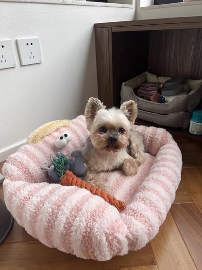 Puppy Special Sofa Kennel Winter Warm Pet Internet Celebrity Cat Nest Small Dog Dog Sleeping Mat Cushion Winter Bed