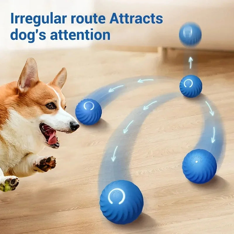 WoofPlay™ BounceBuddy