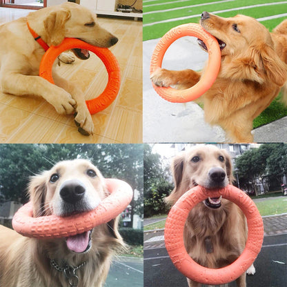 WoofPlay™ FetchLoop