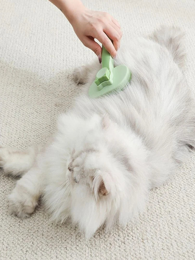 Cat brush for dogs to float hair accessories Blue cat short Muppet cleaning hair removal comb cat supplies