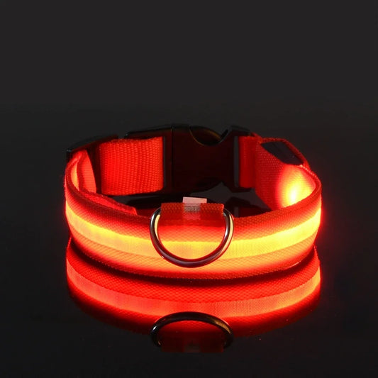 Nylon LED Dog Leash & Glowing Safety Collar For Dogs | MyArturito
