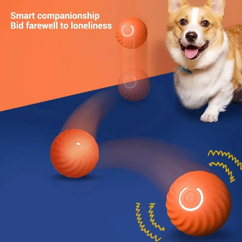 WoofPlay™ BounceBuddy