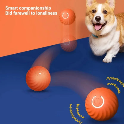 WoofPlay™ BounceBuddy