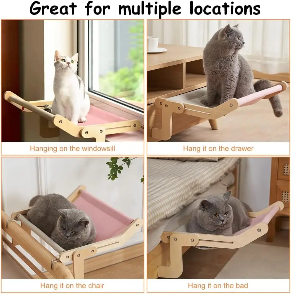 PawZ™ minty