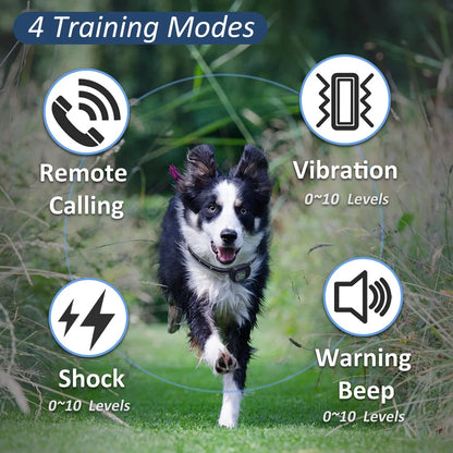Dog Training Collar | Waterproof, Safe & Adjustable Remote | MyArturito