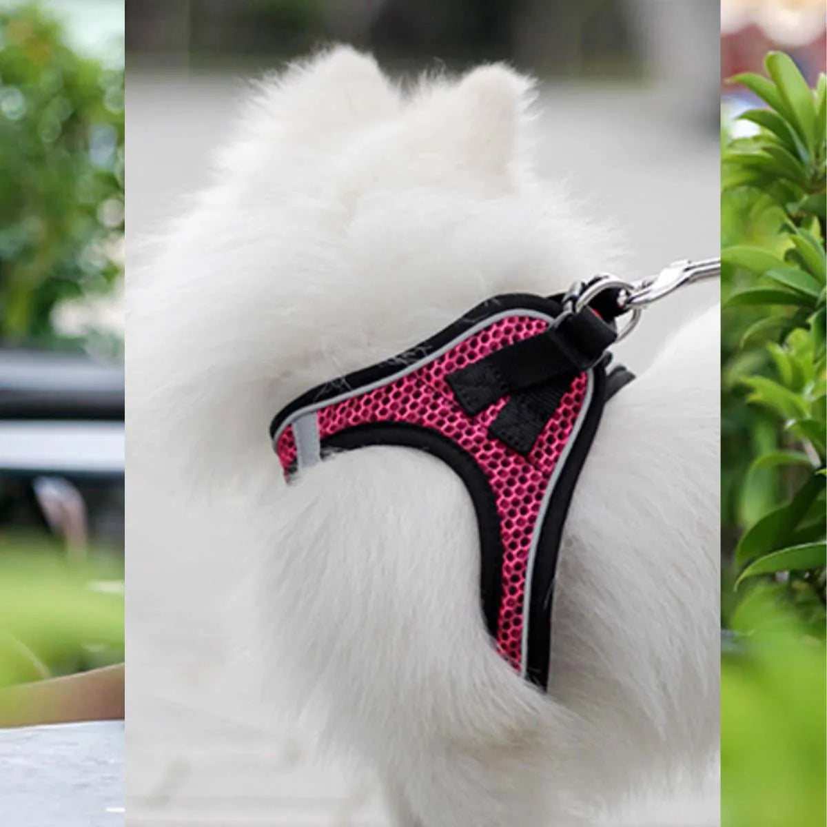 Cat Harness and Leash for Walking, Escape Proof, Adjustable Kitten Vest, Reflective Soft Mesh, Puppy Harness for Outdoor