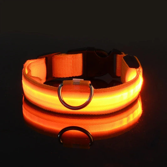 Nylon LED Dog Leash & Glowing Safety Collar For Dogs | MyArturito